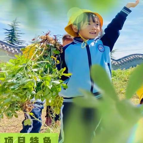 秋收小行家，"枣枣”带回家