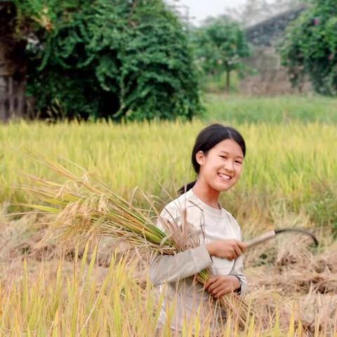 我有"稻"理🌾:割禾、田间稻草人制作、彩绘草帽，割草喂羊宝宝亲子活动