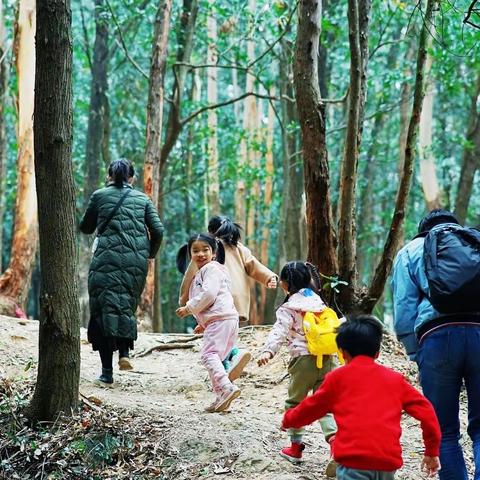 野外求生营 | 大夫山探险 ——徒步、野外求生技能、净水装置制作、搭建森林庇护所