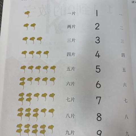 【盖比数学】—《1-9的数字》