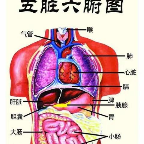 中医集萃