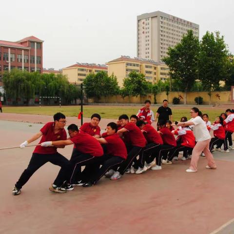 学生发展年｜向阳中学初一初二级部“凝心聚力”拔河比赛掠影