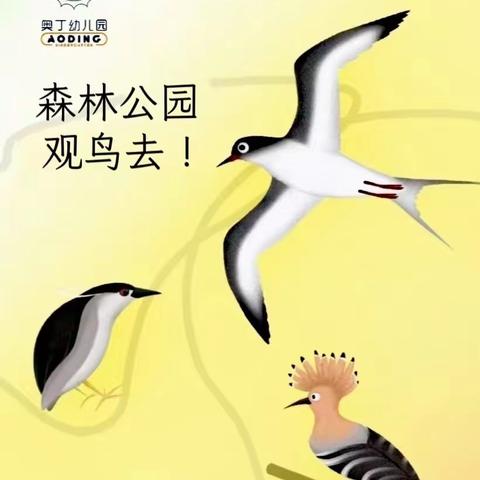 夏日好时光，一起“趣”研学——奥丁幼儿园大一班森林公园研学游