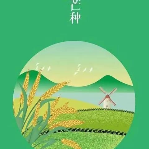 🌾芒种芒种，幸福播种🌾—— 灵溪一小附属幼儿园“芒种”主题活动