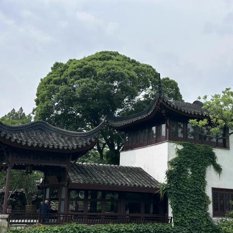 “江南文化古今观 家国情怀一脉传”北京二中朝阳学校研学第4天