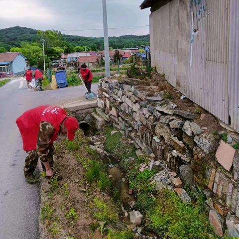 龙泉镇：党建引领促整治，人居环境展新颜