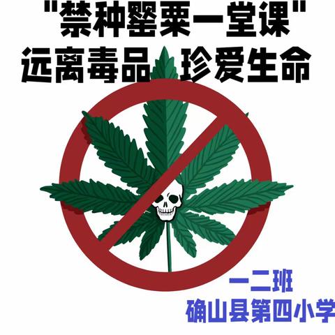 “禁种罂粟一堂课 ——珍爱生命 远离毒品”主题班会