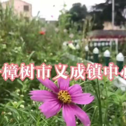 书香校园  春风化雨—欢迎莘莘学子走进义成中心小学