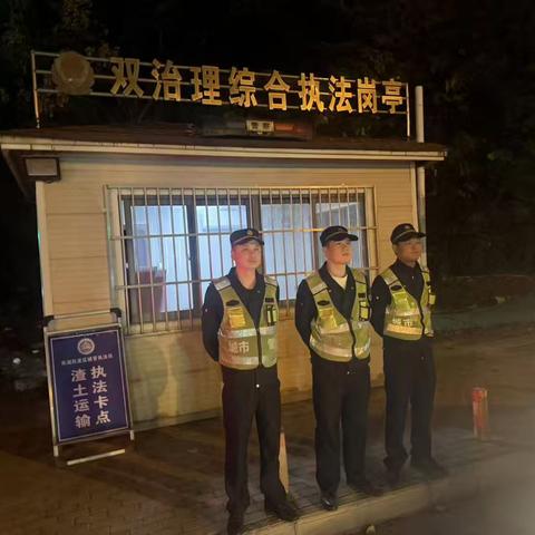 东湖风景区夜间执法情况汇总