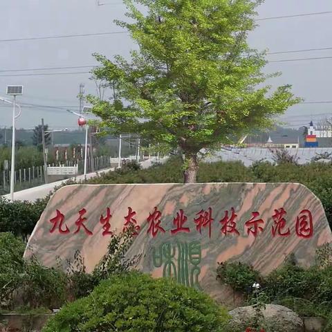 九天研学基地欢迎您