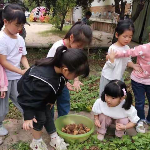 德育润童心，欣然待花开——古市幼儿园小班德育月主题活动