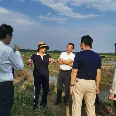王和娇副市长带队调研七水洋和大荒洋基地