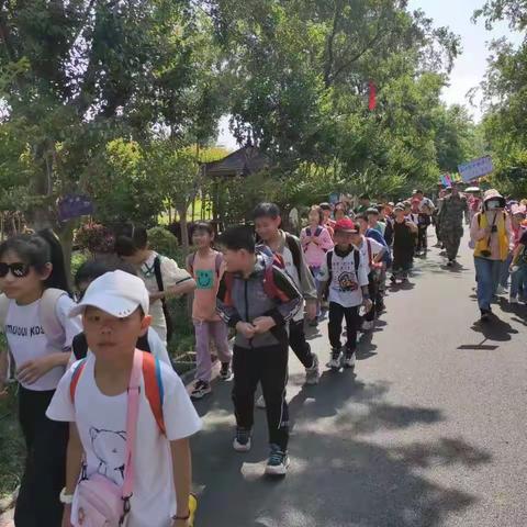 研学旅行快乐成长----新集小学四2班研学活动