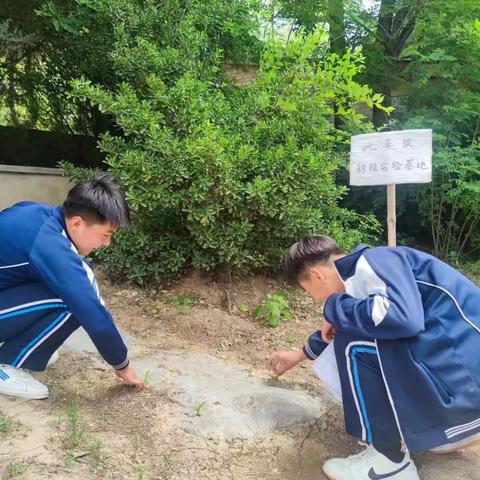 6月7日日工作报告