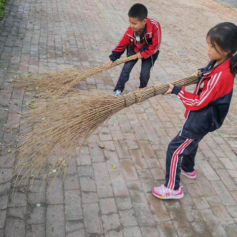 秋风吹，落叶飘，扫落叶，在行动———福星小学清扫落叶活动