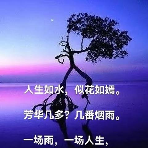 墨染的文章