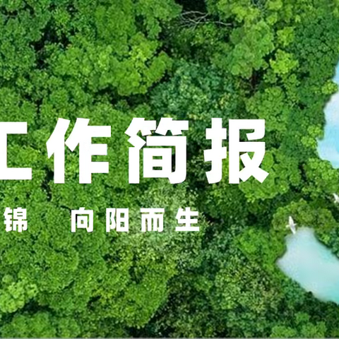 绿景国际花城A区物业中心5月份的工作简报