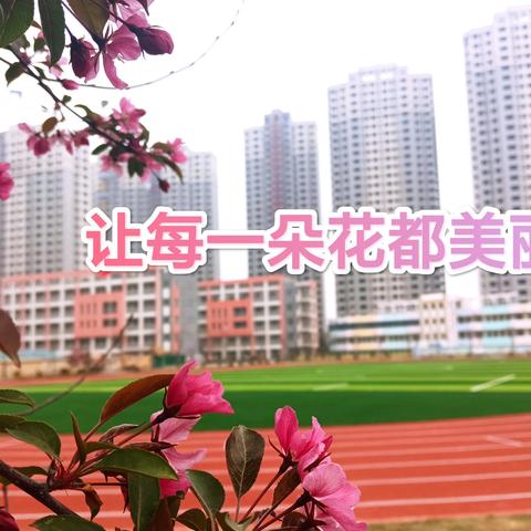 劳动励心智   实践正品行 天山路小学五一劳动实践作业