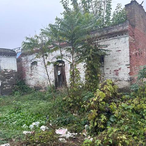 又看到姨姥姥，表叔的家