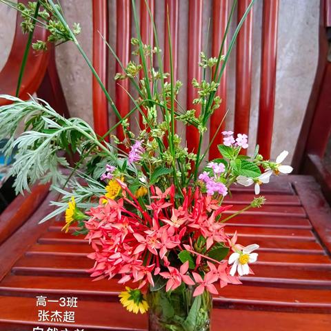 阳江市高新区漠南中学盆景插花展示，高一3班，张杰超。