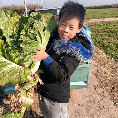 【关爱学生 幸福成长】西吕营镇南屯庄小学四年级德育活动