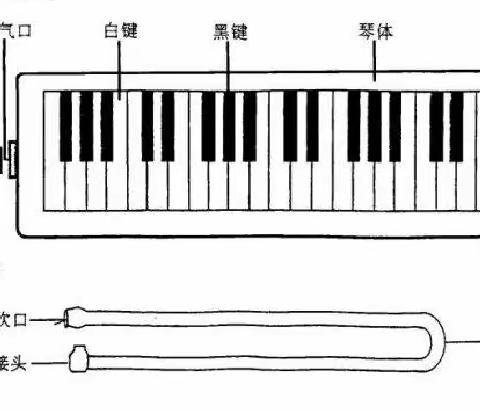 口风琴社团