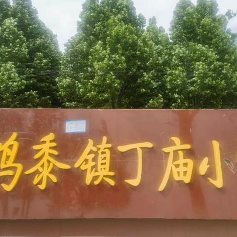 扬起正能量的风帆，助力学校高质量发展——金乡县鸡黍镇丁庙小学校园风采展示