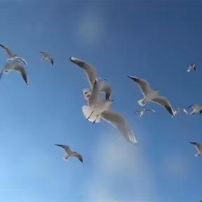 人才赋能 || 市皮防院举办青年人才见面会暨展示活动