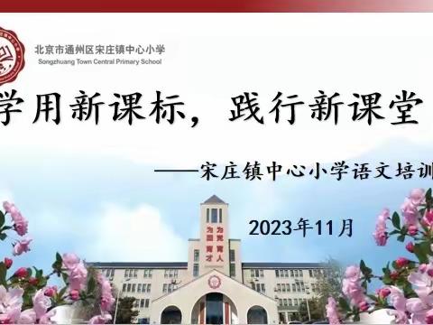 学用新课标，践行新课堂------宋庄镇中心小学语文培训暨镇高年级语文教研组活动