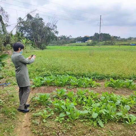 琼中县开展了“十三五”复耕地块现场种植情况检查工作