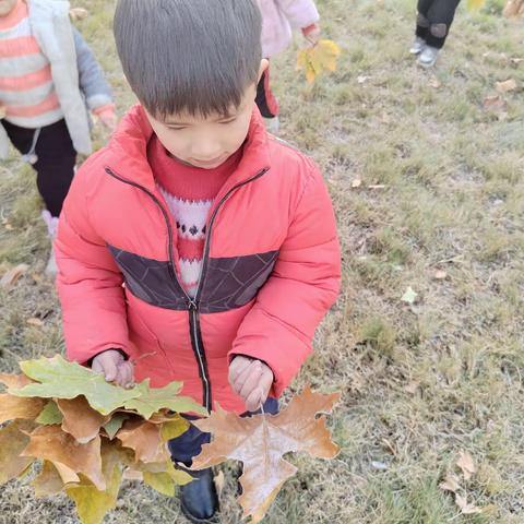 留住秋天，树叶有“画”说——“树叶拓印”主题活动