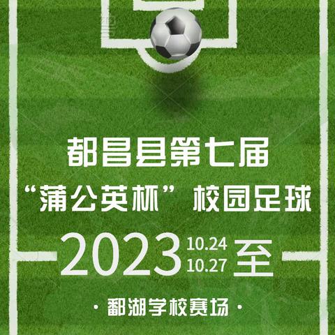 都昌县第七届“蒲公英杯”校园足球赛——鄱湖学校赛场