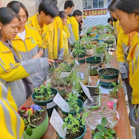 “探植物生长之乐趣，研生态世界之奥秘”——高二生物特色教研：植物种子培育中探究向光性暨生态缸制作大赛评比活动