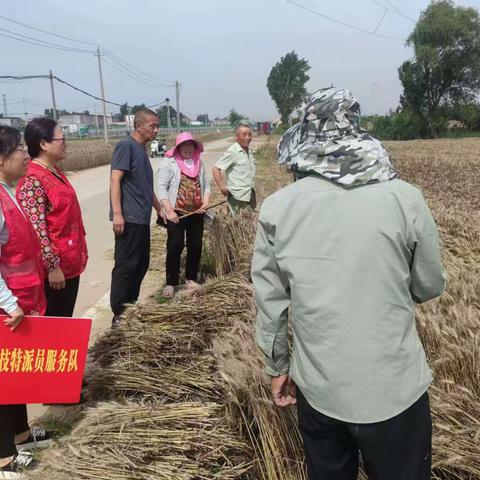 源汇区科技特派员深入田间开展技术服务，助力“三夏”生产