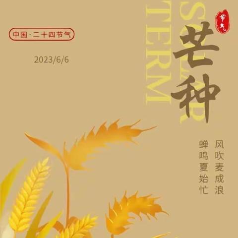 芒种｜风吹穗色盈，蝉鸣夏始忙