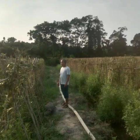 种植大户，致富能手