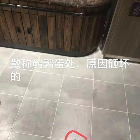 杨奕妈妈的文章