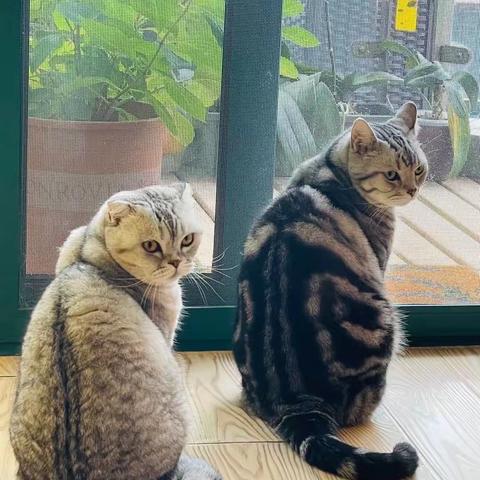 五一节想出去走走