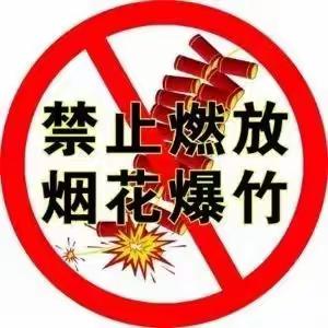 禁放烟花爆竹•守护碧水蓝天——舜耕路社区网格员在行动