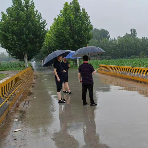 木栾街道：加强河道巡查 筑牢防汛“安全堤”