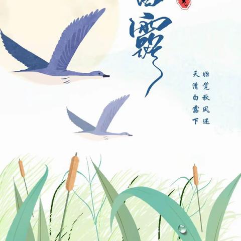 💧白露暖秋色，月明清漏中🍃      二七区张河幼儿园🍃——二十四节气之白露