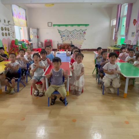 柳林镇中心幼儿园分园中一班