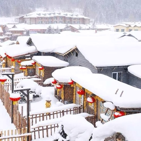 柳林镇中心幼儿园大一班