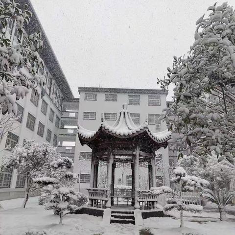 冬雪覆盖、空山寂静