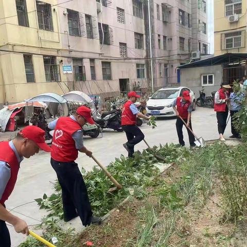 【美丽型社区】手牵手共创文明城市  心连心共建美好家园--东街社区新时代文明实践站开展环境卫生大整治