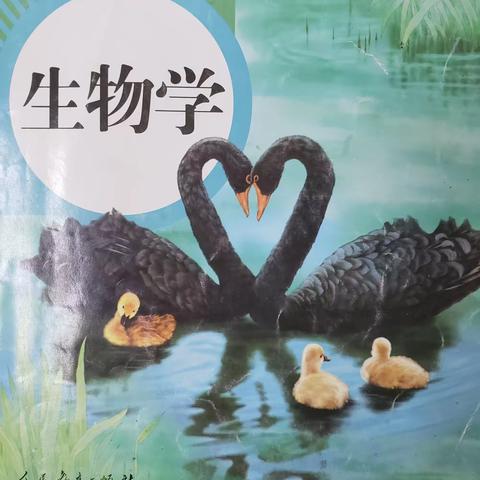 课本中的急救知识---药惠卫生院与药惠中学医校互动急救知识健康讲座