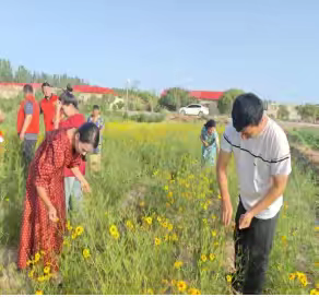 《茶花之约--美丽家园共建行》志愿服务活动