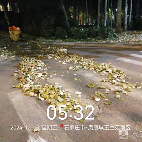 “大风+降温”落叶剧增 环卫工人清扫忙