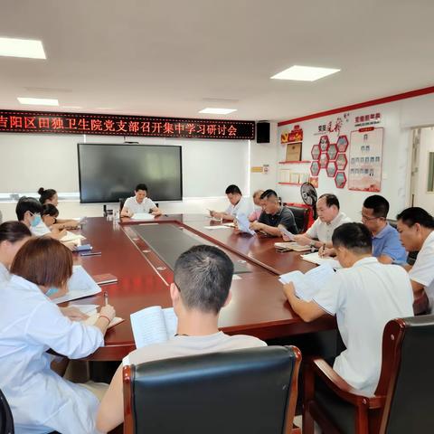 吉阳区田独卫生院党支部召开党风廉政暨医药领域腐败问题集中整治学习会