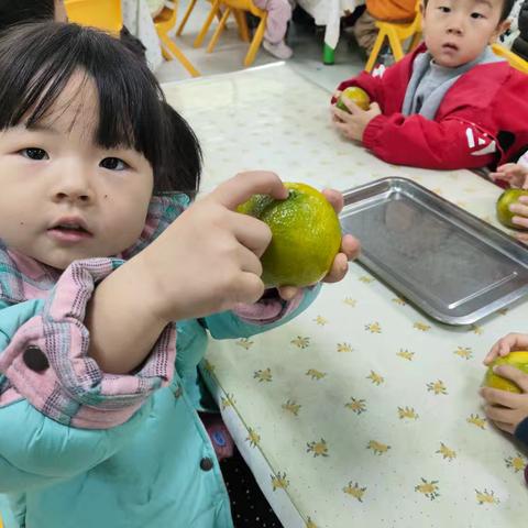 小四班·橘子初相遇 | 一场橙意满满的童趣探险